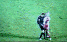 http://mckfr.free.fr/simulation2.gif